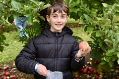 GS_ApplePicking_11