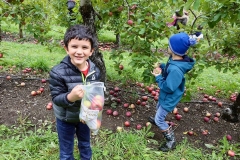 GS_ApplePicking_12