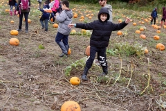 Apple Picking 2018