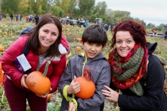 Apple Picking 2018